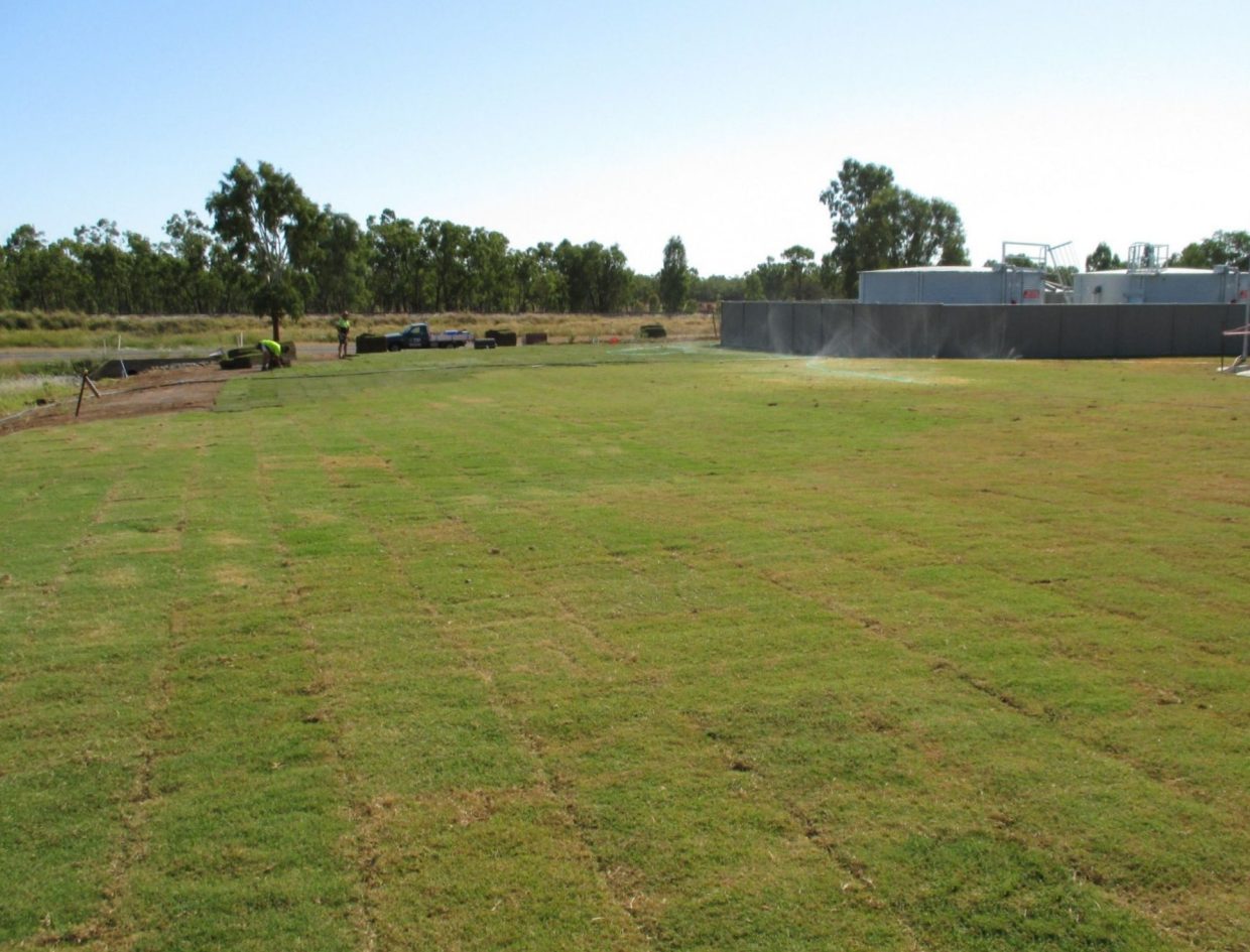 Effluent disposal via sub surface drip irrigation provides green space for the facility.