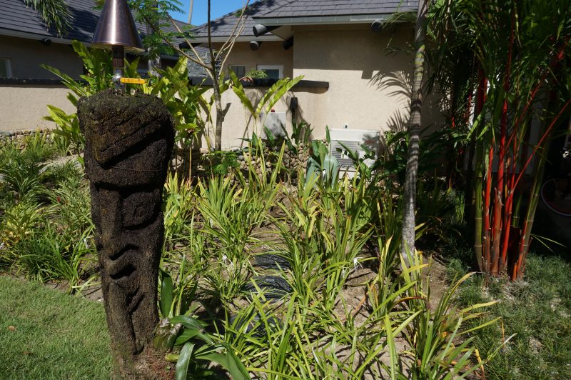 Kubota sewage treatment plant installed within the tropical gardens at Nanuku Beachfront Villas
