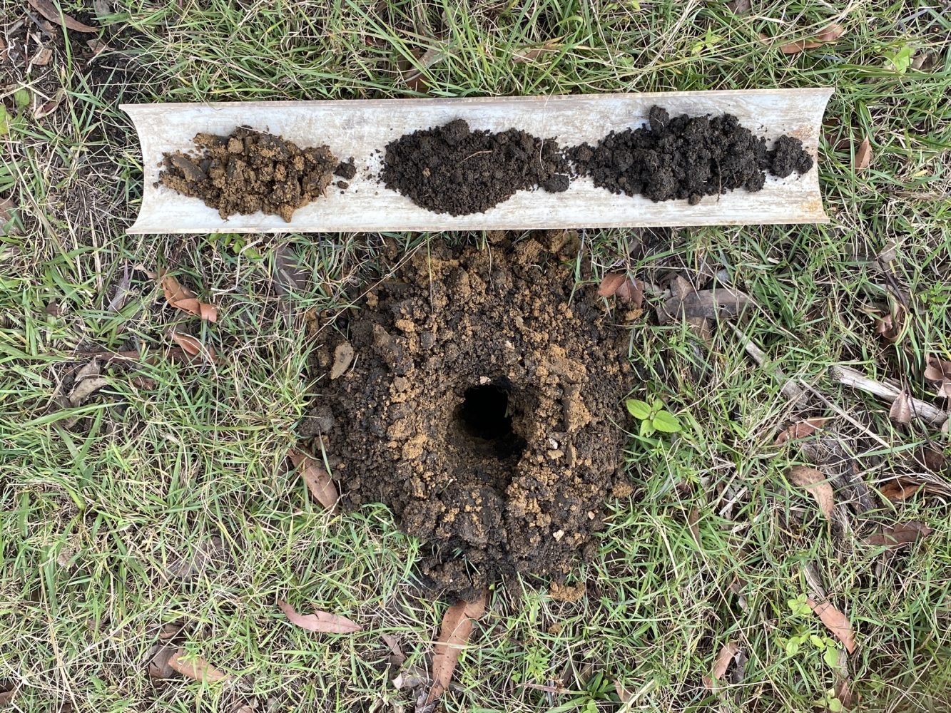 Effluent Management Report | True Water