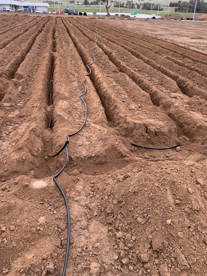 The subsurface drip irrigation is installed at a specific depth below the ground and in regular lines to ensure even and effective dispersal of the treated effluent.