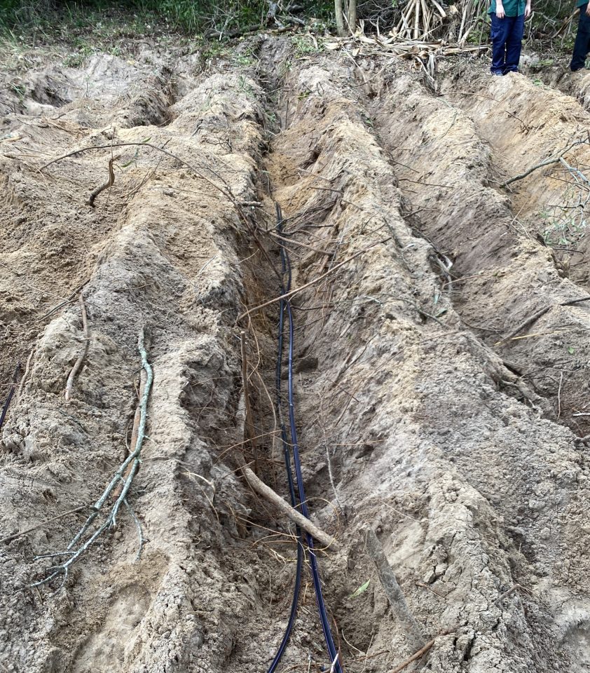 Sub surface drip irrigation was carefully dug and laid amongst protected areas of cultural and environmental significance.