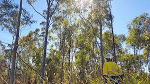 Glencore is committed to rehabilitation of it's mine sites in Australia