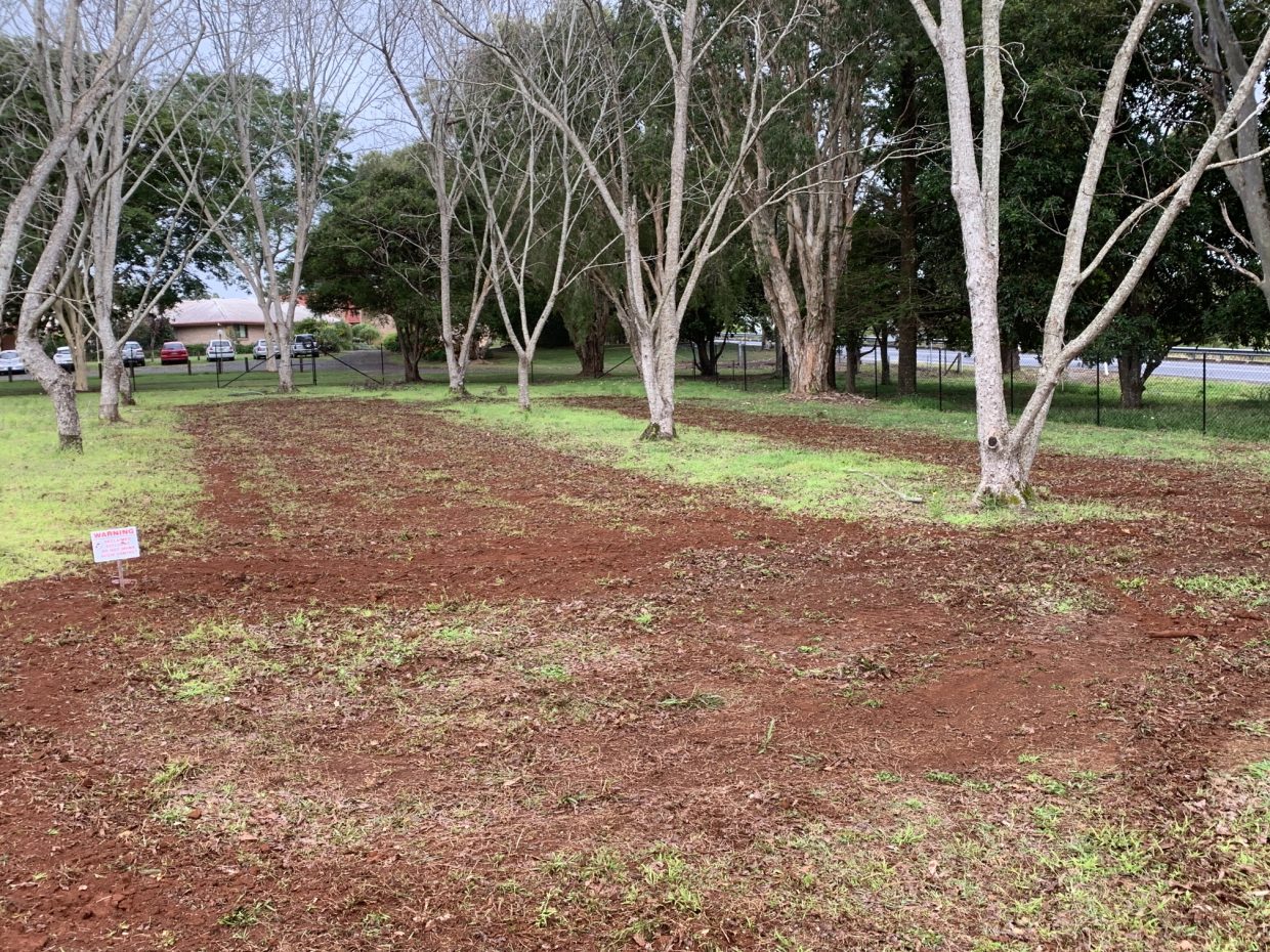 The finished effluent dispersal area between the trees